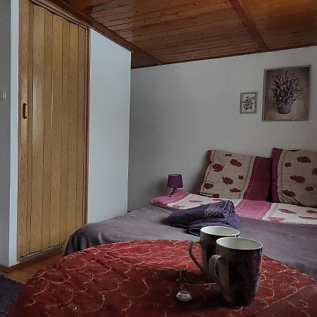 Home Stay Slotwinska Krynica Zdroj Ngoại thất bức ảnh