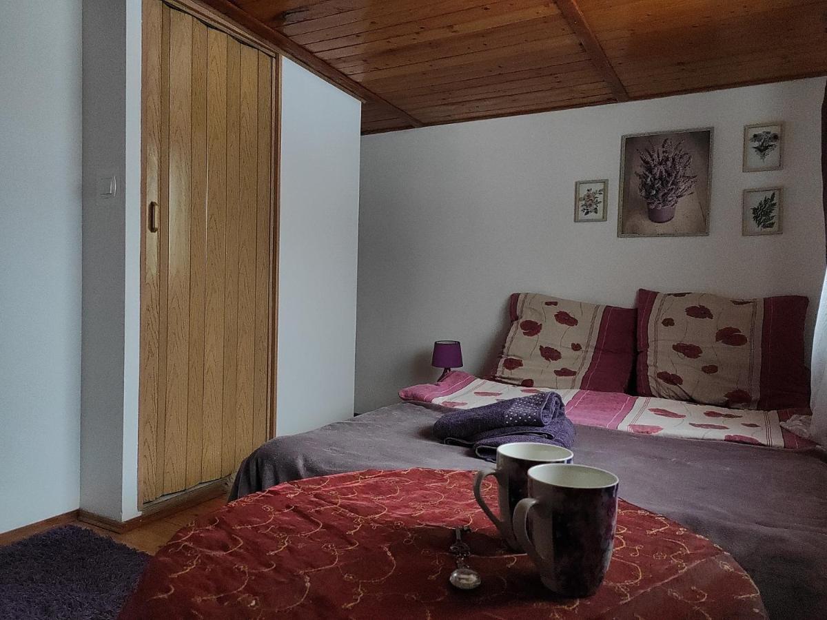 Home Stay Slotwinska Krynica Zdroj Ngoại thất bức ảnh